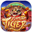 tiger jogo aposta ícone